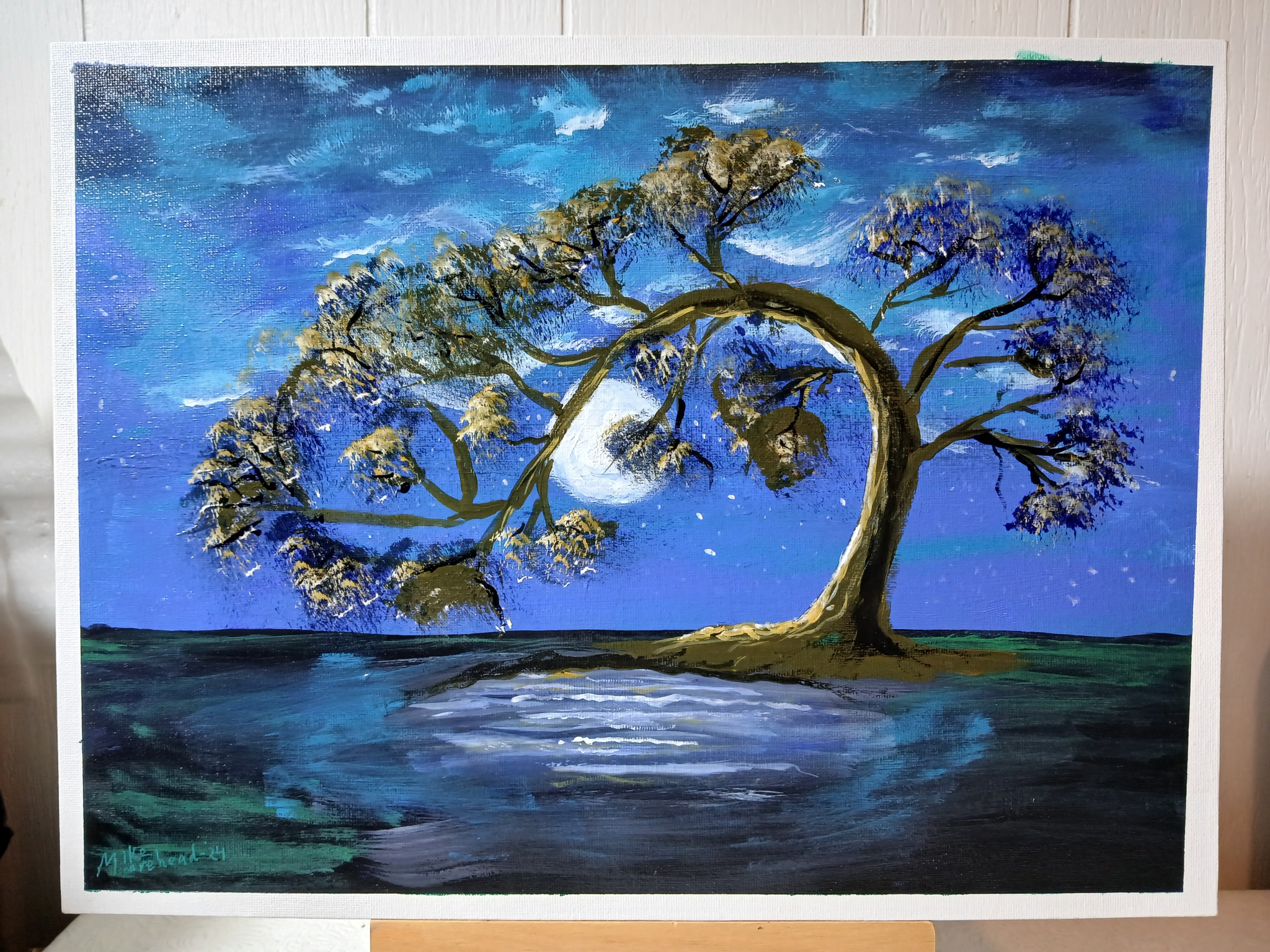 Click here to view Moonlit Pond by Mike R Murehead