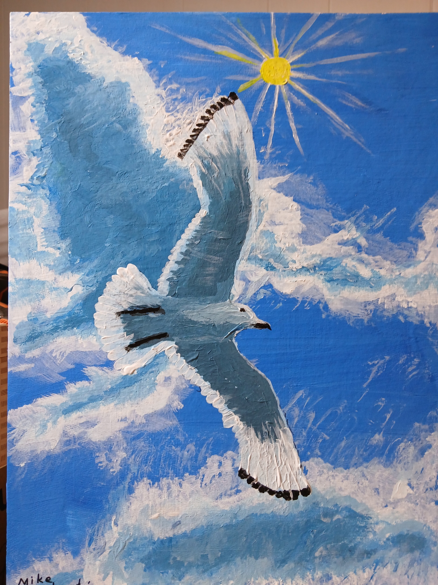 Click here to view Sunny Gull by Mike R Murehead
